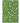 Wonderland WN23 Emerald Rug
