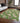 Wonderland WN36 Green Rug