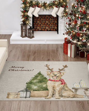 Wonderland WN8 Beige Rug