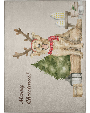Wonderland WN8 Beige Rug